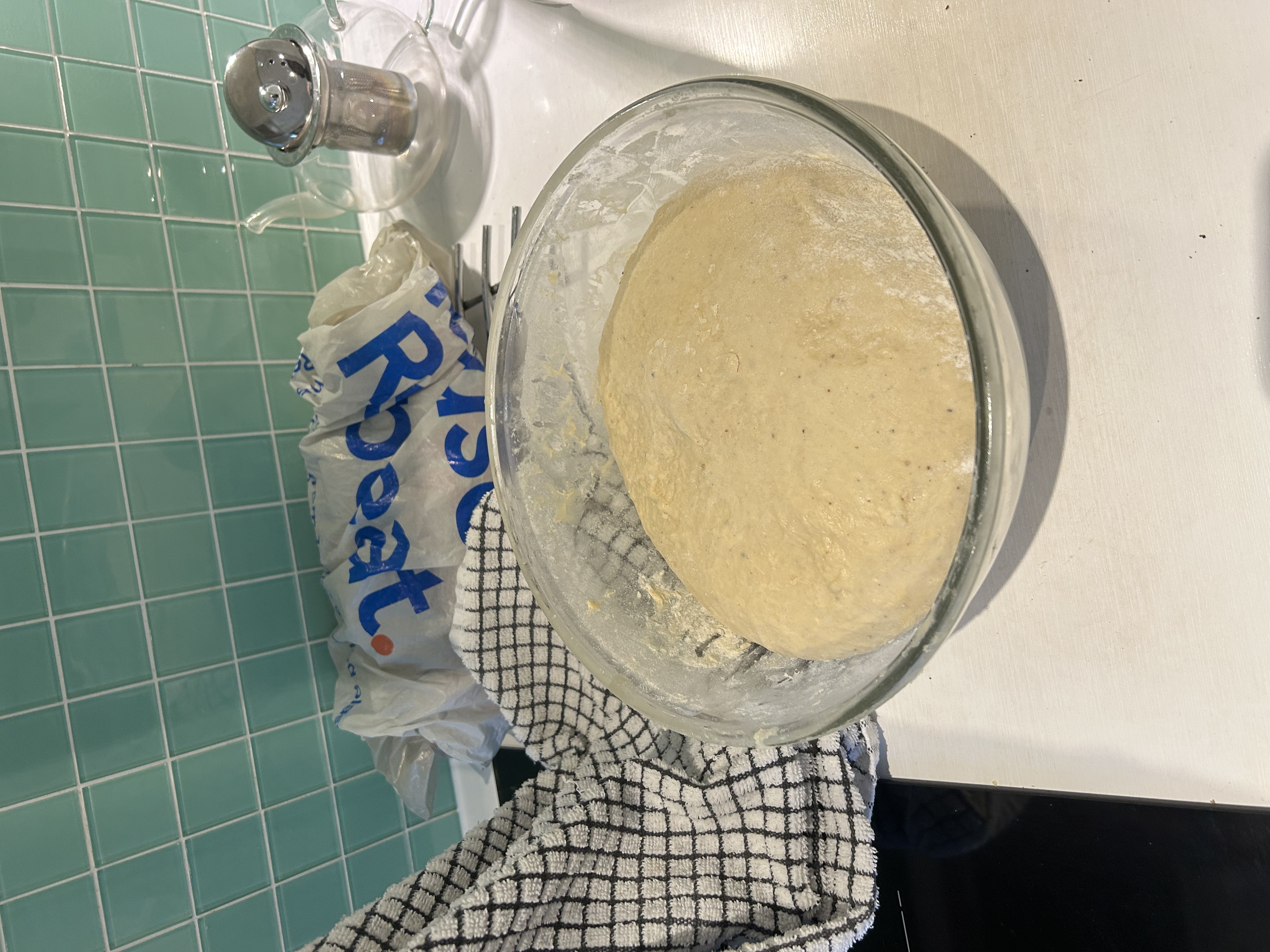 dough before proofing